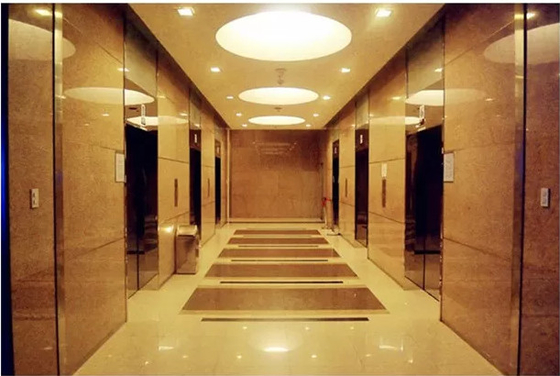 Fuji Gearless Lifts Elevators 900KG 2.0m/s VVVF 모터