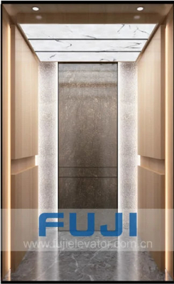 헤어 라인 스테인레스 스틸 하우스 엘리베이터 리프트